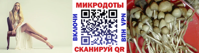 hydra зеркало  Орлов  Псилоцибиновые грибы Psilocybe 
