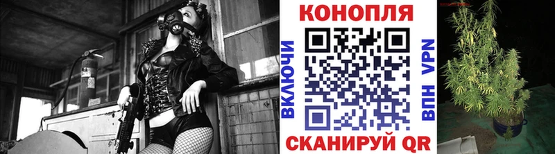 Каннабис марихуана  закладки  Орлов 
